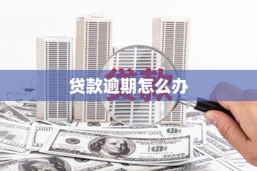 九龙城贷款逾期怎么办