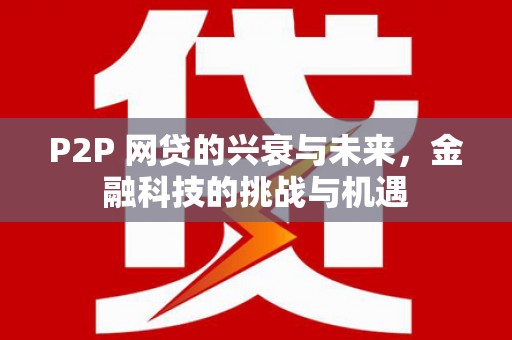 九龙城P2P 网贷的兴衰与未来，金融科技的挑战与机遇