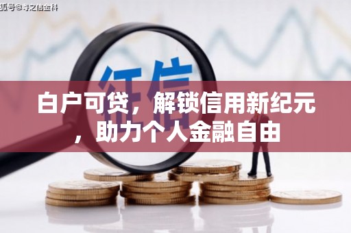 九龙城白户可贷，解锁信用新纪元，助力个人金融自由