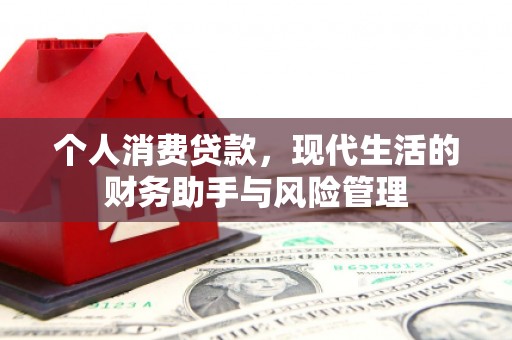 九龙城个人消费贷款，现代生活的财务助手与风险管理