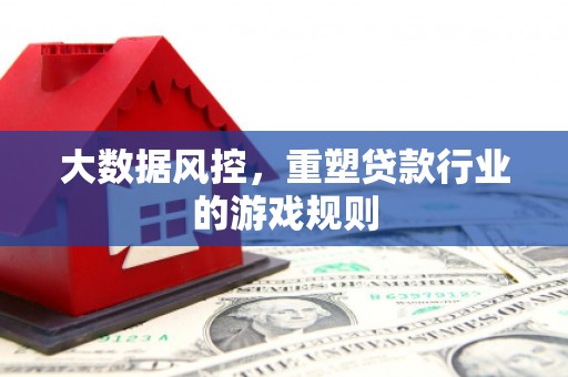 九龙城大数据风控，重塑贷款行业的游戏规则