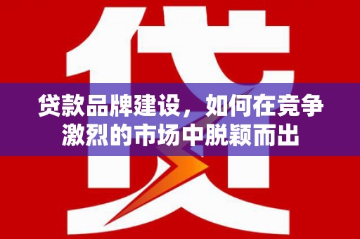 九龙城贷款品牌建设，如何在竞争激烈的市场中脱颖而出