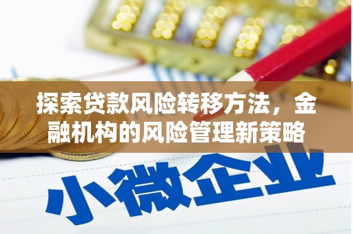 九龙城探索贷款风险转移方法，金融机构的风险管理新策略