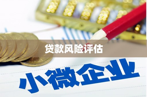 九龙城贷款风险评估