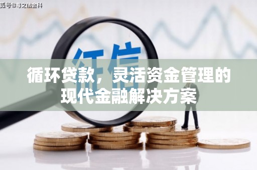 九龙城循环贷款，灵活资金管理的现代金融解决方案