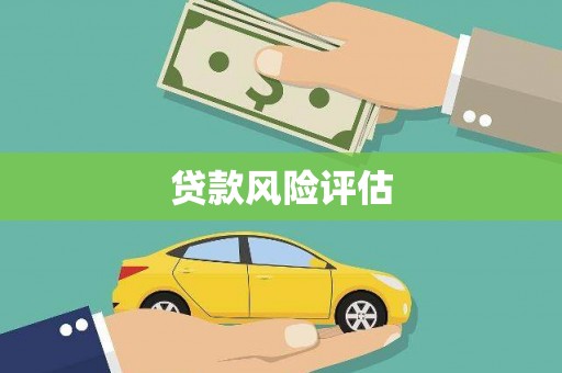 九龙城贷款风险评估