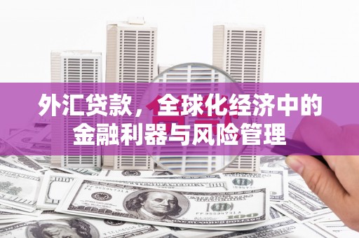 九龙城外汇贷款，全球化经济中的金融利器与风险管理