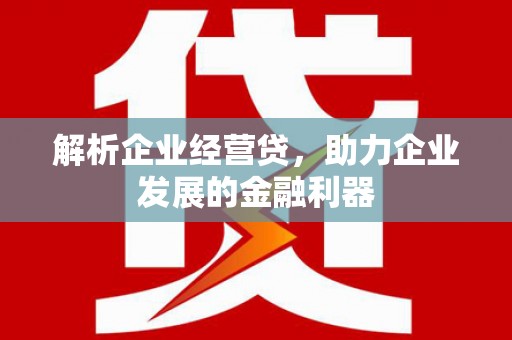 九龙城解析企业经营贷，助力企业发展的金融利器