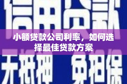 九龙城小额贷款公司利率，如何选择最佳贷款方案