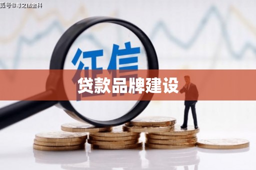 九龙城贷款品牌建设
