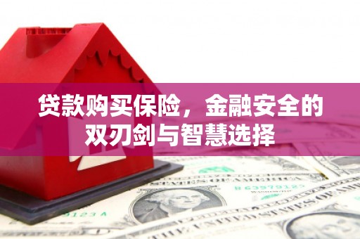 九龙城贷款购买保险，金融安全的双刃剑与智慧选择