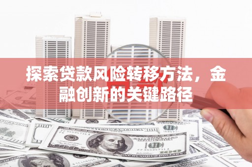 九龙城探索贷款风险转移方法，金融创新的关键路径