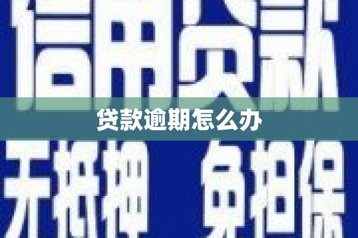 九龙城贷款逾期怎么办