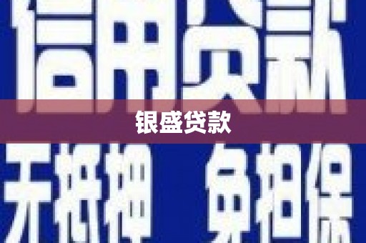 九龙城银盛贷款