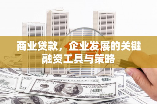 九龙城商业贷款，企业发展的关键融资工具与策略