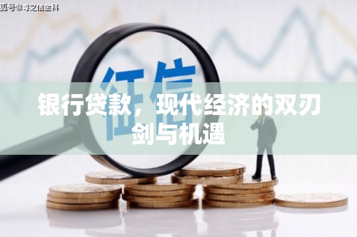 九龙城银行贷款，现代经济的双刃剑与机遇