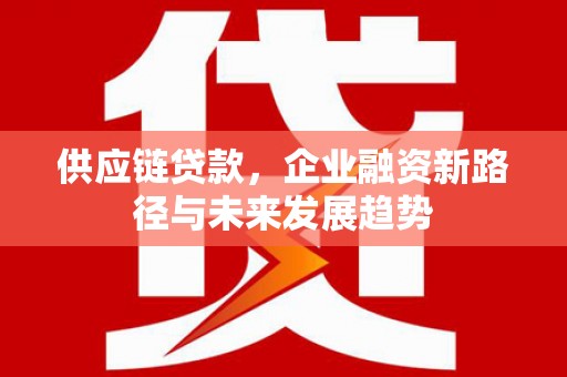 九龙城供应链贷款，企业融资新路径与未来发展趋势