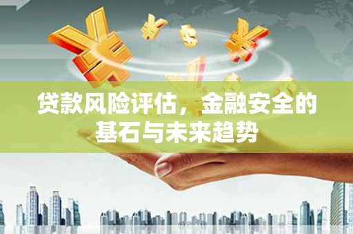 九龙城贷款风险评估，金融安全的基石与未来趋势
