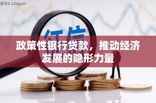 九龙城政策性银行贷款，推动经济发展的隐形力量