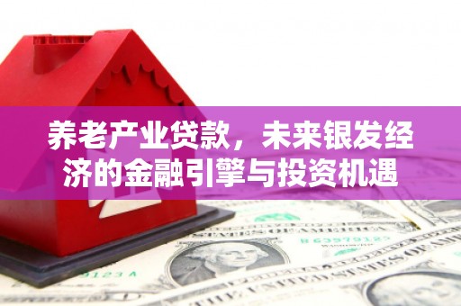 九龙城养老产业贷款，未来银发经济的金融引擎与投资机遇