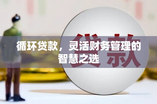 九龙城循环贷款，灵活财务管理的智慧之选