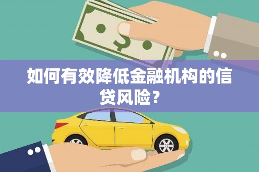 九龙城如何有效降低金融机构的信贷风险？