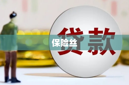 九龙城保险丝