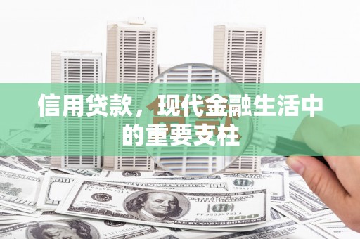 九龙城信用贷款，现代金融生活中的重要支柱