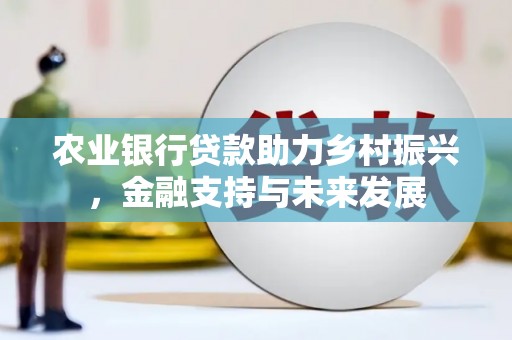 九龙城农业银行贷款助力乡村振兴，金融支持与未来发展
