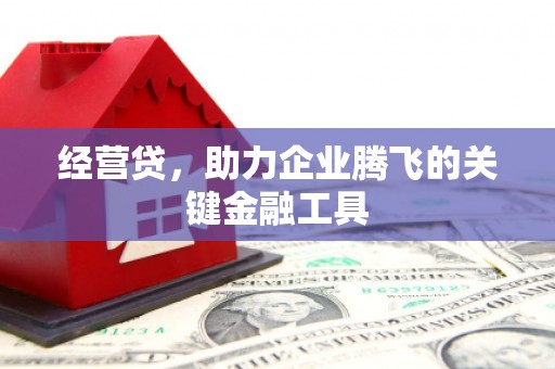 九龙城经营贷，助力企业腾飞的关键金融工具