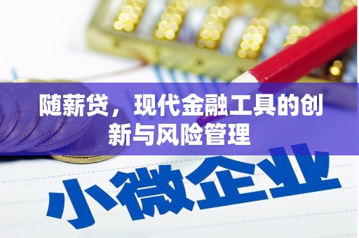 九龙城随薪贷，现代金融工具的创新与风险管理