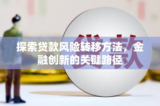 九龙城探索贷款风险转移方法，金融创新的关键路径