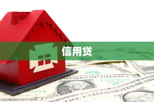 九龙城信用贷