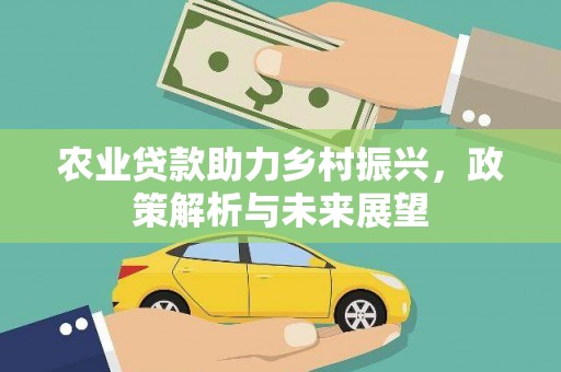九龙城农业贷款助力乡村振兴，政策解析与未来展望