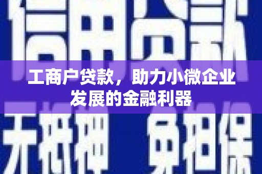 九龙城工商户贷款，助力小微企业发展的金融利器