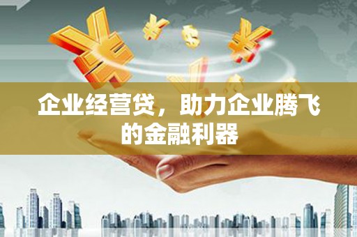 九龙城企业经营贷，助力企业腾飞的金融利器