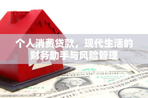九龙城个人消费贷款，现代生活的财务助手与风险管理