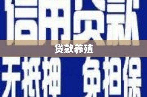 九龙城贷款养殖