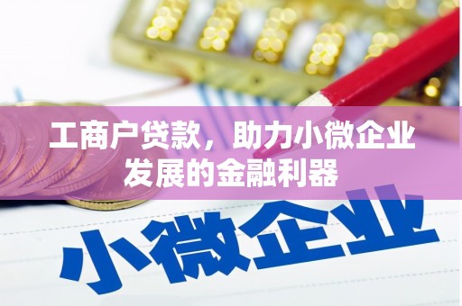 九龙城工商户贷款，助力小微企业发展的金融利器