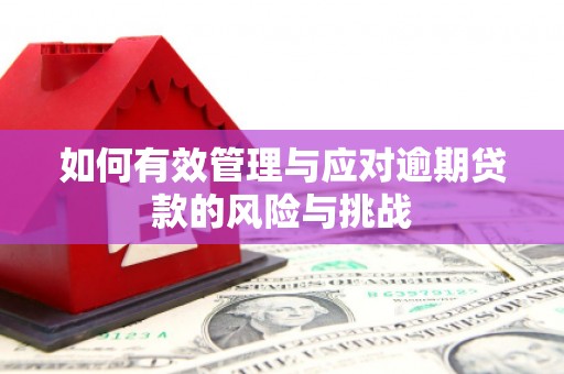 九龙城如何有效管理与应对逾期贷款的风险与挑战