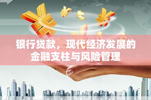九龙城银行贷款，现代经济发展的金融支柱与风险管理