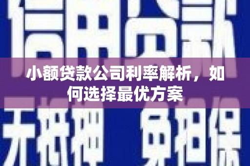 九龙城小额贷款公司利率解析，如何选择最优方案