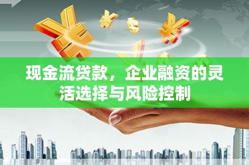九龙城现金流贷款，企业融资的灵活选择与风险控制