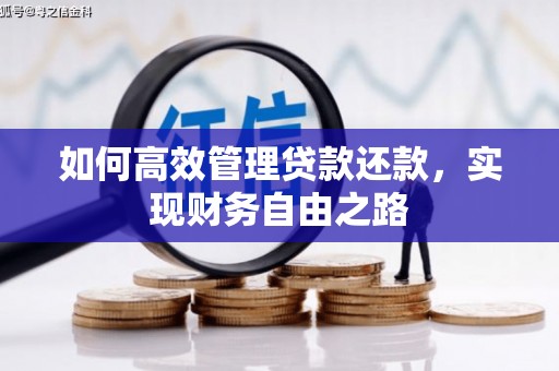 九龙城如何高效管理贷款还款，实现财务自由之路