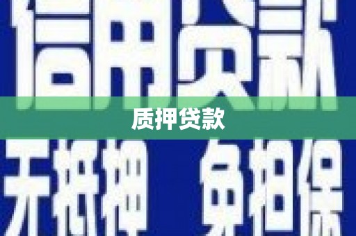 九龙城质押贷款
