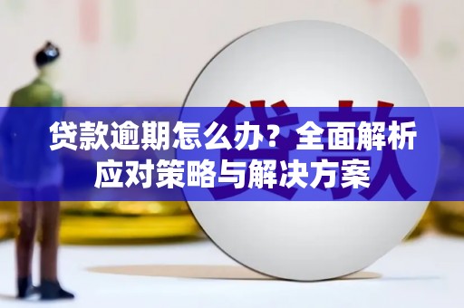 九龙城贷款逾期怎么办？全面解析应对策略与解决方案