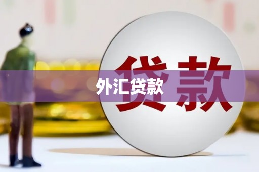 九龙城外汇贷款