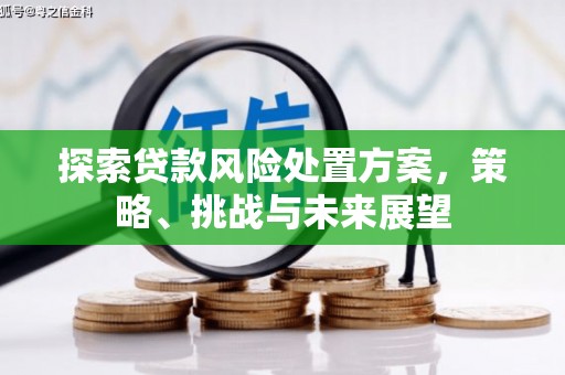 九龙城探索贷款风险处置方案，策略、挑战与未来展望