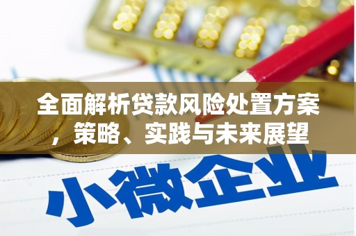 九龙城全面解析贷款风险处置方案，策略、实践与未来展望