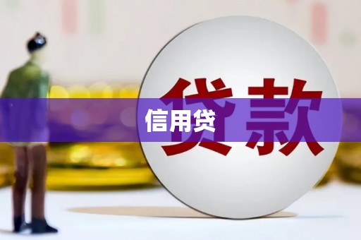 九龙城信用贷